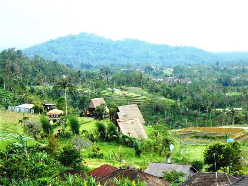 Jual tanah murah di Tabanan Bali