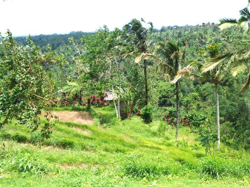 Tanah dijual di Tabanan Bali