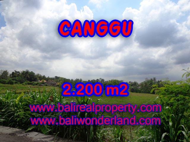 Jual tanah di Canggu 2,200 m2 di Tumbak Bayuh