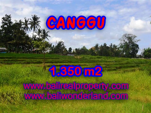 Tanah dijual di Canggu Bali 13,5 Are di Canggu Pererenan
