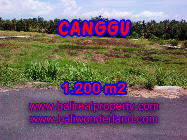 Tanah dijual di Canggu 1,200 m2 di Tumbak Bayuh