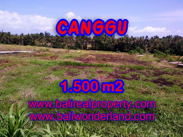 Tanah di Canggu dijual 1,500 m2 di Tumbak Bayuh