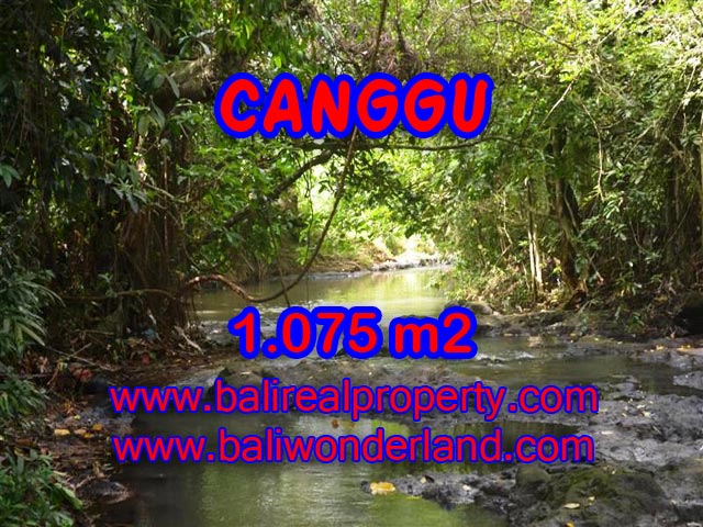 Jual tanah di Canggu 10.75 Are di Canggu Pererenan Bali