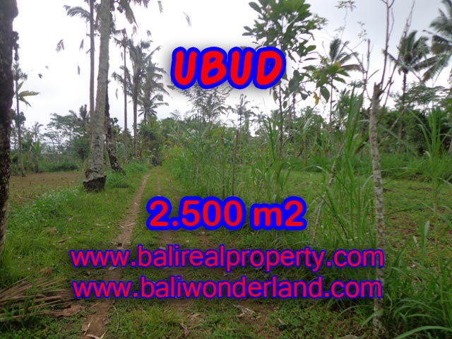Tanah dijual murah di Ubud Bali