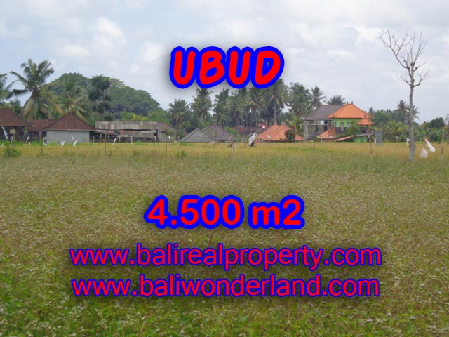Jual tanah murah di Ubud