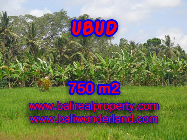 Jual tanah murah di Ubud Bali