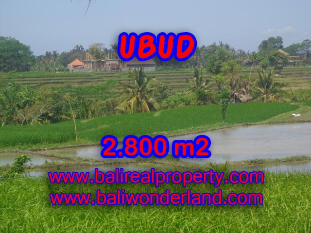 Jual tanah di Ubud 28 Are di Dekat sentral Ubud Bali