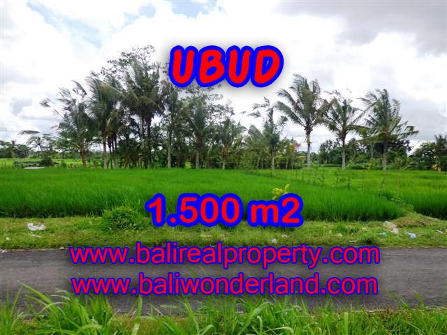 Jual Tanah murah di UBUD TJUB369 - investasi property di Bali