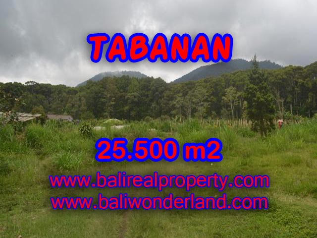 Murah ! Tanah di TABANAN Bali Dijual TJTB085
