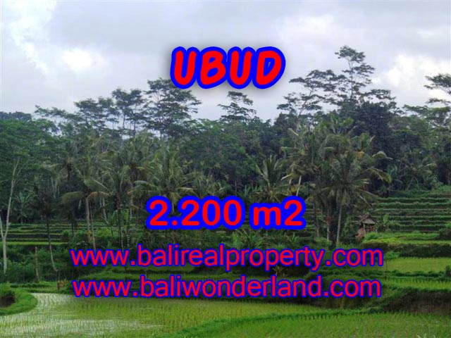 Tanah di Ubud dijual 2.200 m2 view sawah dan gunung di Ubud Payangan