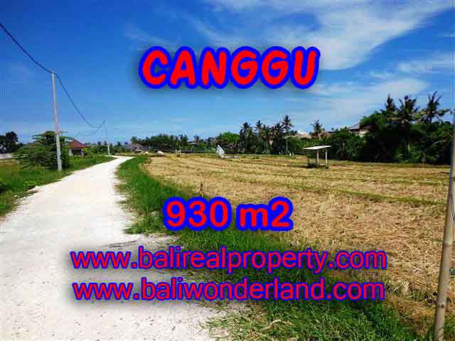TANAH DIJUAL DI CANGGU