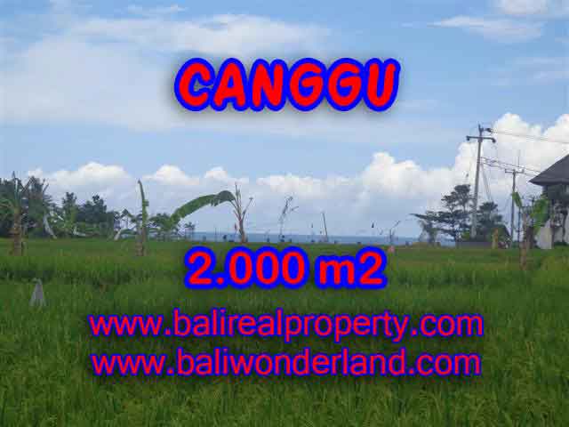 TANAH DIJUAL DI CANGGU