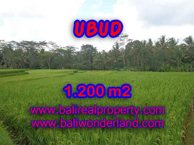 JUAL TANAH DI UBUD RP 1.350.000 / M2 - TJUB400