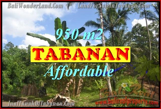 1 Jual Tanah di Tabanan Bali TJUB146