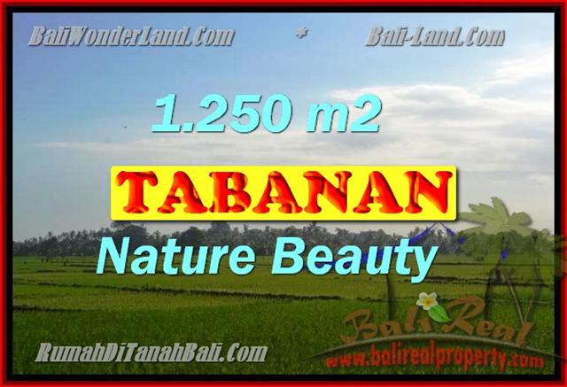 TANAH DI TABANAN BALI DIJUAL CUMA RP 3.350.000 / M2
