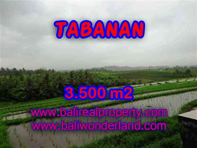 TANAH DIJUAL DI BALI, MURAH DI TABANAN RP 520.000 / M2 - TJTB141 - INVESTASI PROPERTY DI BALI