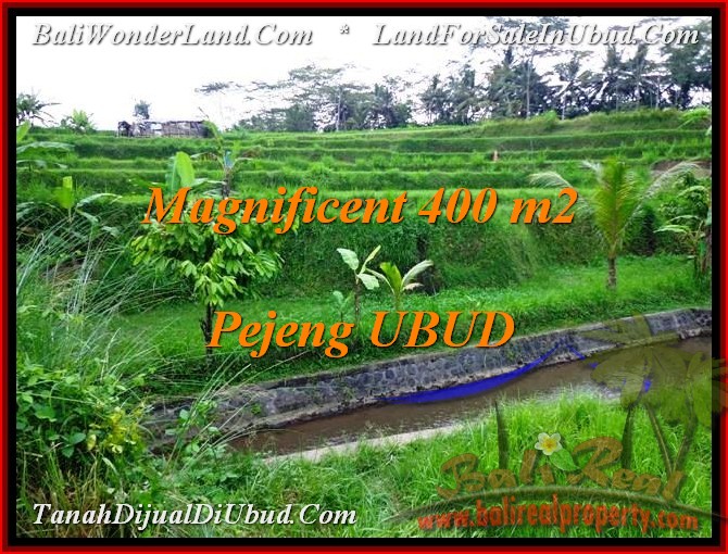 DIJUAL TANAH MURAH di UBUD Untuk INVESTASI TJUB483