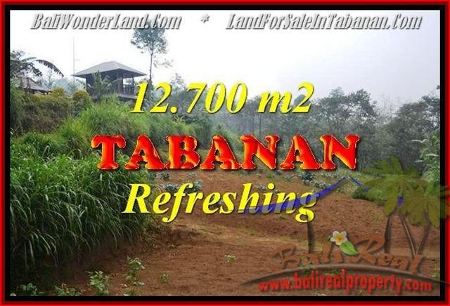 TANAH JUAL MURAH TABANAN 127 Are View kebun dan gunung
