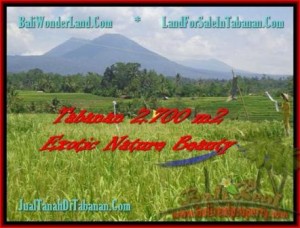 TANAH JUAL MURAH  TABANAN 2.700 m2  Sawah, Gunung, Sungai dan Kota Denpasar