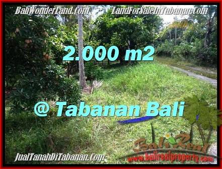 TANAH di TABANAN BALI DIJUAL MURAH 2,000 m2 View Kebun
