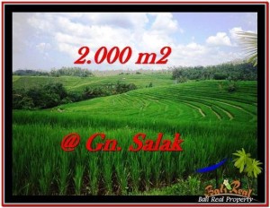 TANAH JUAL MURAH  TABANAN 2,000 m2  View sawah, laut