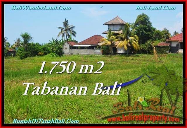 DIJUAL TANAH di TABANAN BALI 1,750 m2 di Tabanan Selemadeg