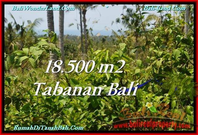 JUAL TANAH MURAH di TABANAN BALI Untuk INVESTASI TJTB232