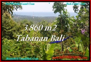 DIJUAL TANAH di TABANAN BALI Untuk INVESTASI TJTB236