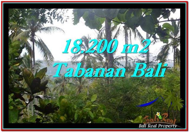 TANAH di TABANAN BALI DIJUAL MURAH 18,200 m2 View kebun dan laut