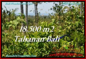 JUAL TANAH MURAH di TABANAN Untuk INVESTASI TJTB232
