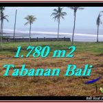 TANAH di TABANAN BALI DIJUAL MURAH TJTB249