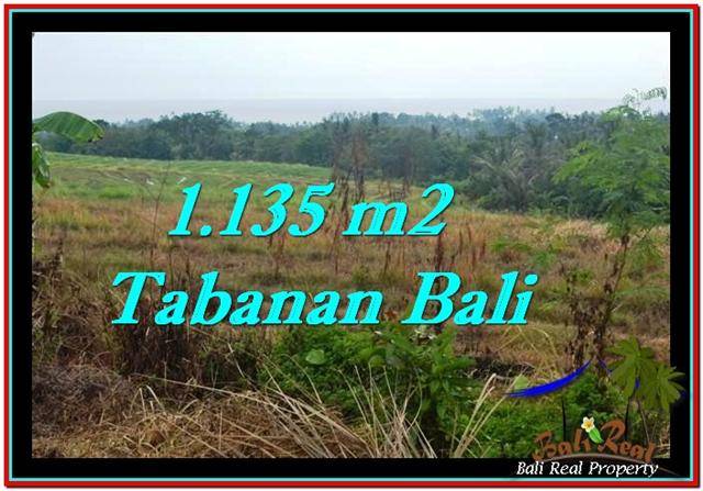 INVESTASI PROPERTI, TANAH MURAH DIJUAL di TABANAN BALI TJTB253