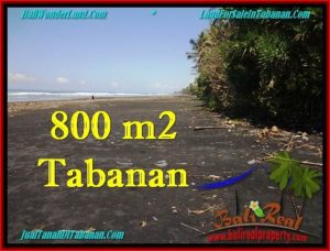 TANAH JUAL MURAH  TABANAN 800 m2  Tepi Pantai ( Beachfront ) View Sawah