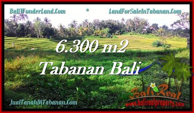 INVESTASI PROPERTY, TANAH di TABANAN BALI DIJUAL MURAH TJTB275