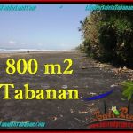 TANAH MURAH JUAL di TABANAN BALI 800 m2 Tepi Pantai ( Beachfront ) View Sawah