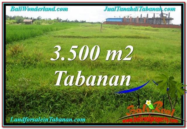 TANAH MURAH di TABANAN BALI 3,500 m2 di Tabanan Kerambitan