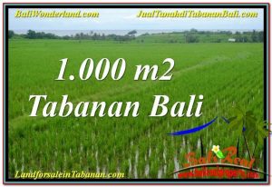 TANAH MURAH DIJUAL di TABANAN BALI Untuk INVESTASI TJTB307