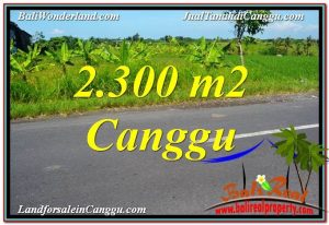 TANAH DIJUAL di CANGGU 2,300 m2 di Canggu echo beach