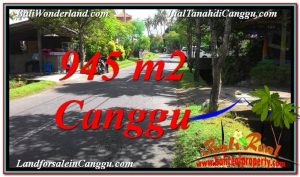 TANAH MURAH di CANGGU DIJUAL 9.45 Are di Canggu Pererenan