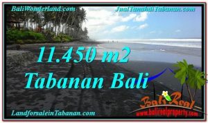 TANAH di TABANAN JUAL MURAH 114.5 Are View Laut, Gunung dan sawah