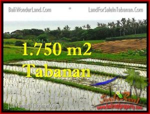 DIJUAL TANAH di TABANAN 1,775 m2 di Tabanan Selemadeg