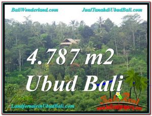 TANAH di UBUD BALI DIJUAL MURAH 4,787 m2 di Ubud Tampak Siring