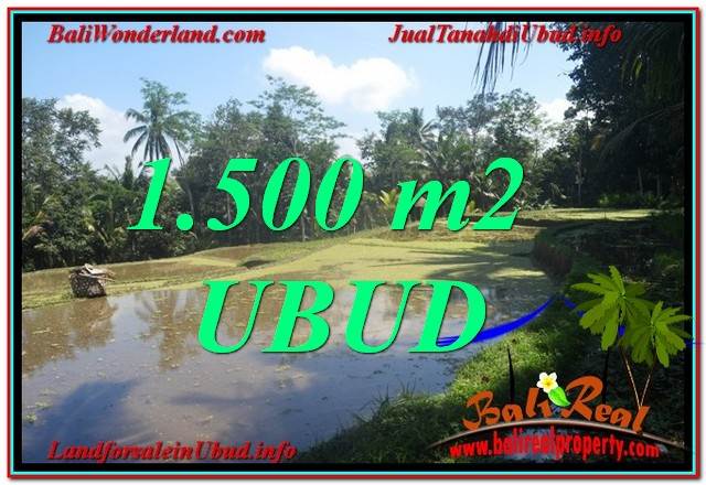 TANAH DIJUAL MURAH di UBUD BALI 1,500 m2 di Ubud Payangan