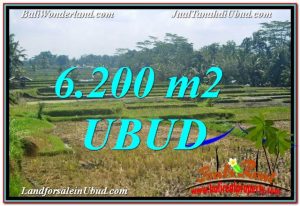 JUAL TANAH MURAH di UBUD 6,200 m2 di Ubud Payangan