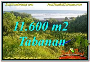 TANAH DIJUAL di TABANAN BALI Untuk INVESTASI TJTB340