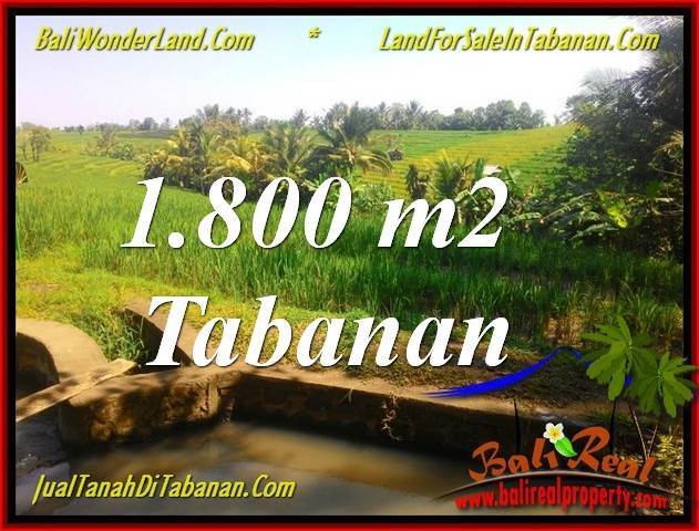 DIJUAL MURAH TANAH di TABANAN 1,800 m2 di Tabanan Selemadeg