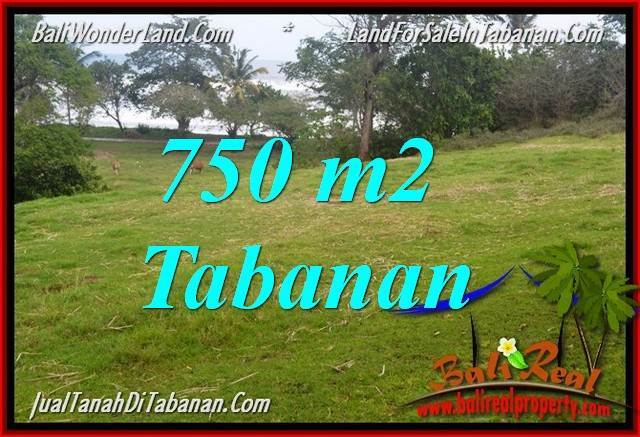DIJUAL MURAH TANAH di TABANAN BALI Untuk INVESTASI TJTB346