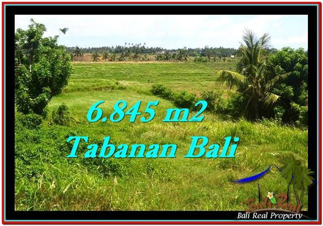 TANAH di TABANAN BALI DIJUAL MURAH TJTB245
