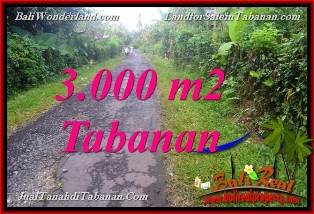 INVESTASI PROPERTI, DIJUAL MURAH TANAH di TABANAN BALI TJTB366