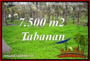TANAH DIJUAL di TABANAN 7,500 m2 di TABANAN SELEMADEG